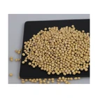 Seed Yellow Quality Soyabeans Seed Salted Roasted Yellow Soya Bean Dried Soya Beans