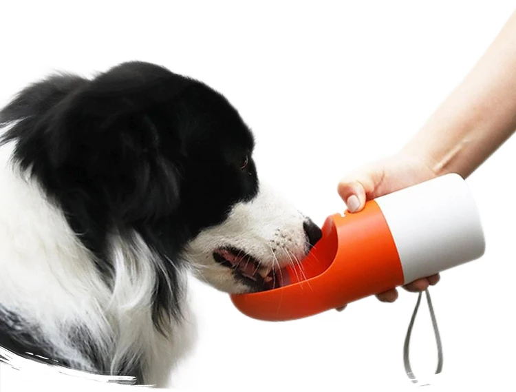 Non-automatic Pet Water Bottle in 3 colours