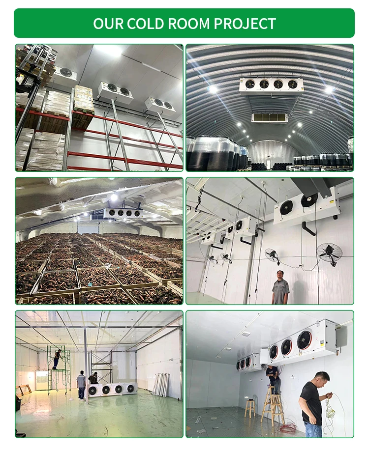 Condensing Unit, 380 V, -20degree - detail 14