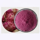 Wholesale Factory Supply Instant Red Pitaya Dragon Fruit Juice Powder Dragon Fruit Matcha Fruit Powder