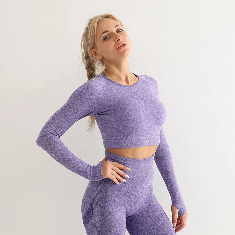 2022 Top Selling Sexy Gym Sports Spandex Seamless Fitness Activewear Beautiful Back Loose Long Sleeve Yoga Tops For Women