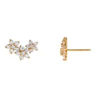 Cz Earrings Luxury 925 Sterling Silver Cz Jewelry 18k Gold Plated Diamond Earrings
