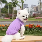 Summer Shirt Wholesale Many Colors Plain Pet Cat Summer Clothes Dog T Shirt Blank Dog Shirt