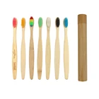 Toothbrush Eco Friendly Custom Logo Plastic Free 100% Biodegradable Hard Bristle Bamboo Tube Charcoal Toothbrush
