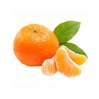 Premium Yellow Delicious Australian Fresh Sweet Oranges