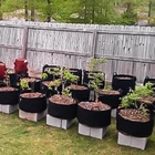 Planter Container Plant Grow Bags Vegetable Plant Grow Bags Garden Planter Container Pot