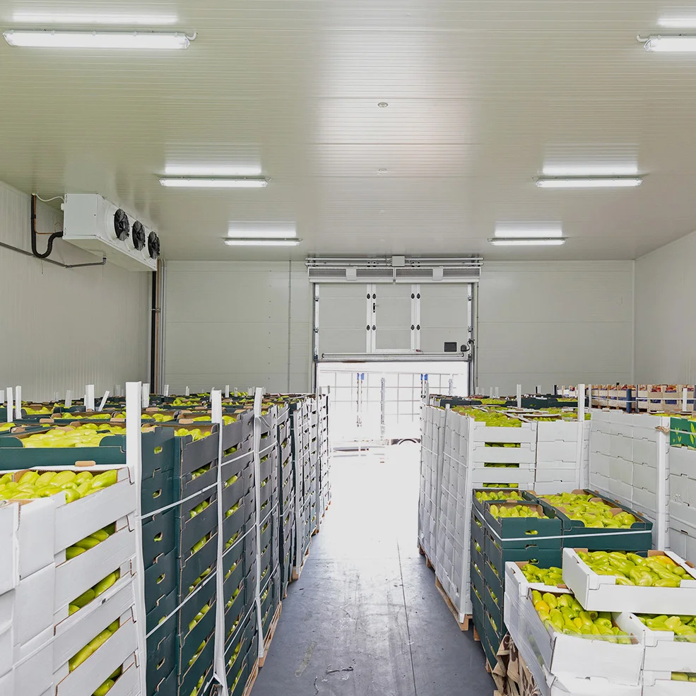 Cold Room Storage, AC 220 V, 500 W - detail 4