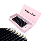 Eyelash Artstar Profession 2021 Lash Extension Lash Trays Individual Mink Eyelash Extension Private Label