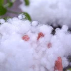 Cotton Fiber Direct Factory Supply White Filling Safa Toys Pillow Quilt Cotton Fiber Polyfill Polyester Wadding
