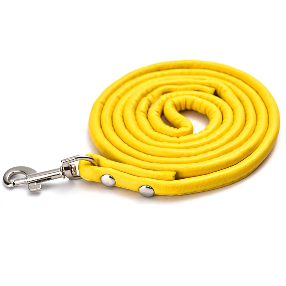 yellow leash
