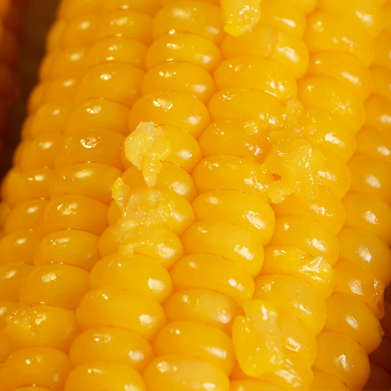 Production Of Fresh Yellow Corn Sweet Corn Yellow Maize Wholesale Buy Yellow Corn Sweet Corn Yellow Maize Corn Product On Alibaba Com