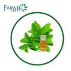 Oil Farwell CAS#8008-79-5 Essential Oil 60%/ 80% Natural Spearmint Oil