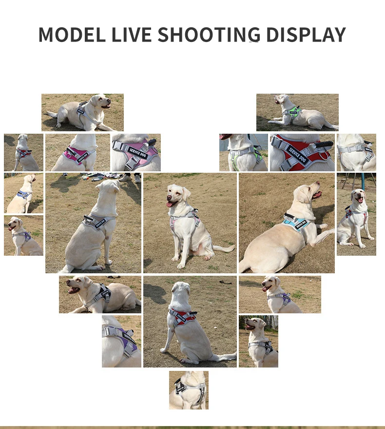 Hot Sale Adjustable No Pull Harness Comfortable Easy Clean Reflective Sturdy Nylon Pvc Dog Vest Harness factory