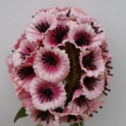 Carnation Flowers Quality Artificial Flowers Customized Indoor Home Decoration Artificial Carnation Flowers Ball