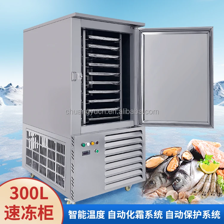 Blast Freezer, Stainless, Steel - detail 4