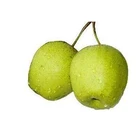 Pear Pearpear Special Hot Selling Natural Organic Fresh Good Quality Pear Chinese Fruits