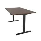 Adjustable Desktop US Uplift Standing Desk Customize Electric Height Adjustable Desk Bamboo Desktop