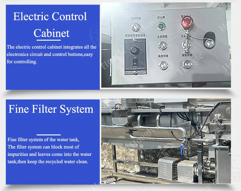 Automatic French Fries Washing Machine for Vegetables Drying Function-Cleaning Red Chilli Stone Dust Vortex Fruit Mushroom Ozone details
