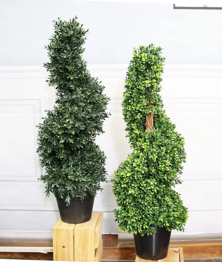 boxwood sprial .JPG