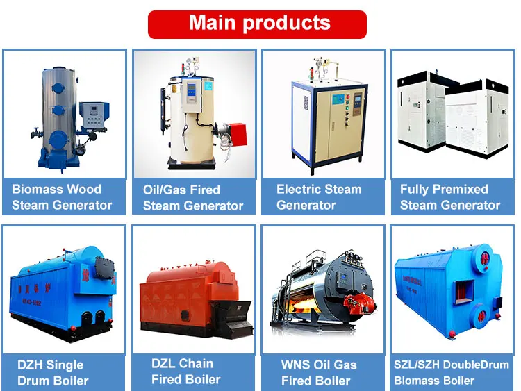 Steam Boiler, 220 V, Natural Circulation - detail 10