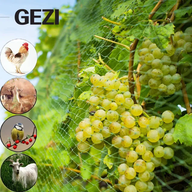 Agricultural garden crops orchard protection net nylon black bird net grape 