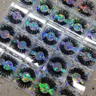Eyelash Free Sample Lash LevelTop 3D Natural 100% Mink Eyelash Vendor