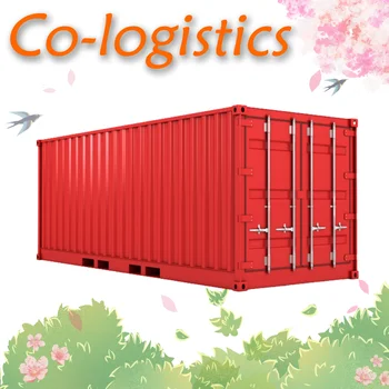 China to INDONESIA 20GP 40GP Freight Agents Logistics Services sea Freight Forwarder from Shenzhen