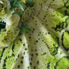 Polyester Spandex Jersey Spandex Fabric 2021 New 1 Side Brushed Polyester Spandex Jersey Fabric Printed For Sports Wear
