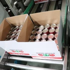Product Food New Product High Quality Canned Food Tin Tomato Sauce With Private Label