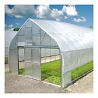 Agricultural Sell Well New Type Smart Galvanized Steel Frame Tunnel Poly Agricultural Film GreenHouses