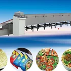 Instant Noodles Manufacturing Machine Small Size Automatic Fry Instant Noodle Making Machine