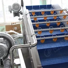 High Efficient Cassava Cleaning Machine Yam Peeling Washing Machine