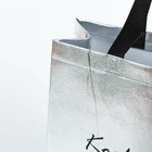 Pp Bag Size Customizable PP Non-woven Shopping Bag For Promotional Gift Shopping Packing