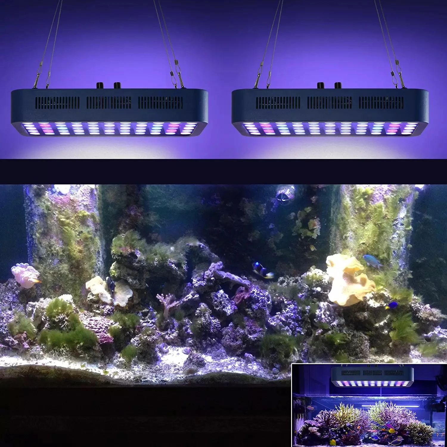 Best Selling High 165w Controller Dimmer Marine Reef Led Tank Aquarium Light Coral - Buy Aquarium Light Coral,Reef Aquarium Tank,Aquarium Marine Product on Alibaba.com