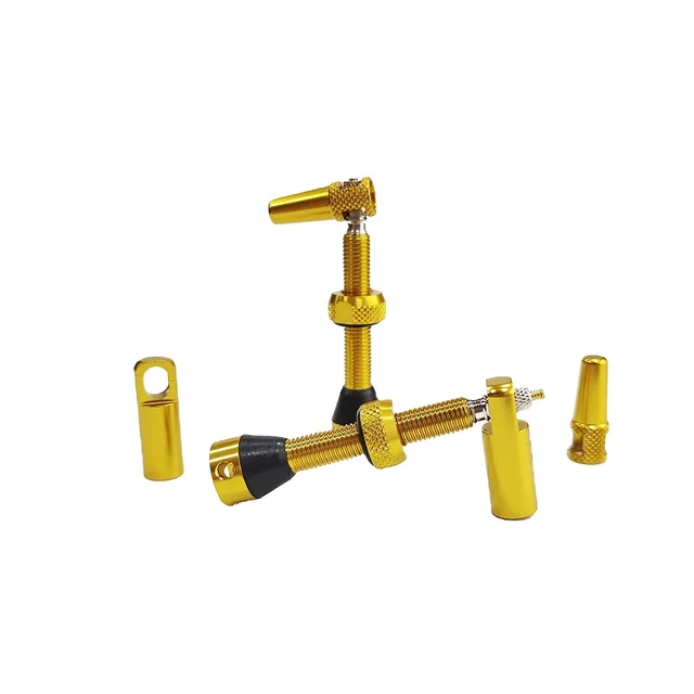 High Quality Tubeless Valves With Removable Tool Cap and Other Accessories for CO2 Tubeless Valve