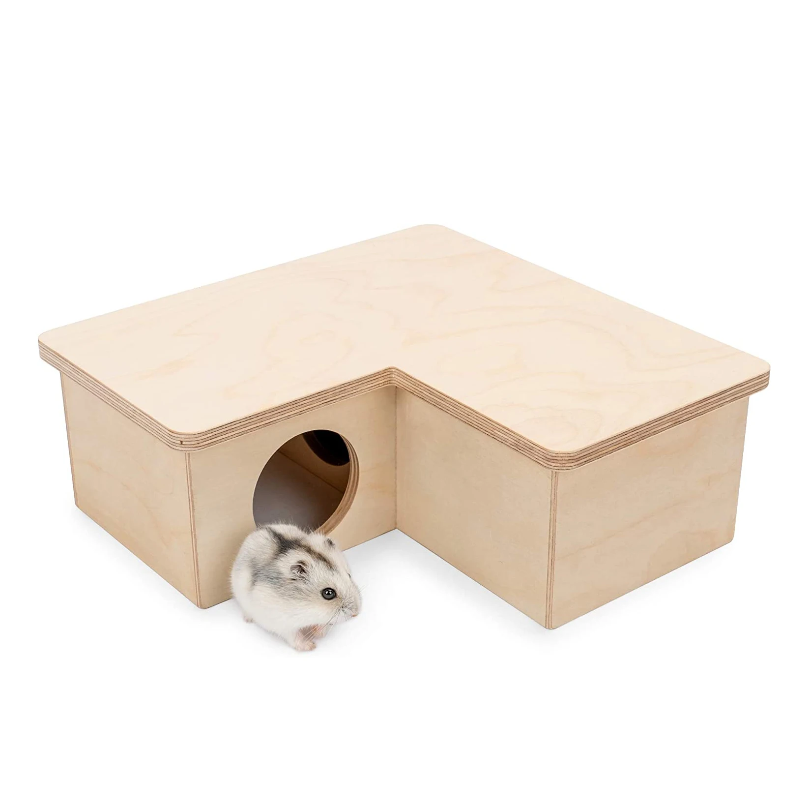 hamster hide house