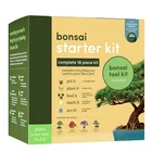 Bonsai New Listing High Quality Planting Indoor Bonsai Trees Wholesale Pots For Plants