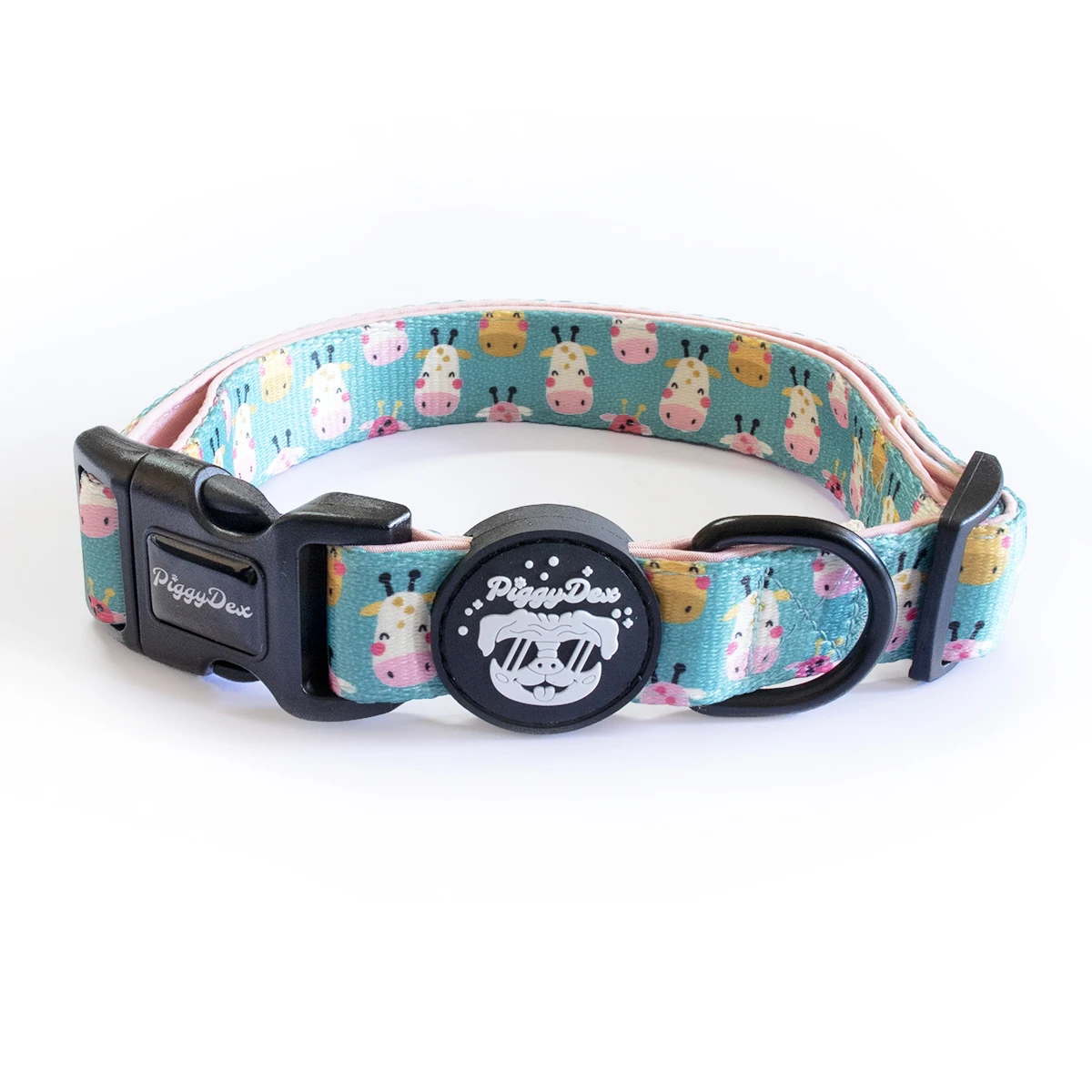 dog collar leash set