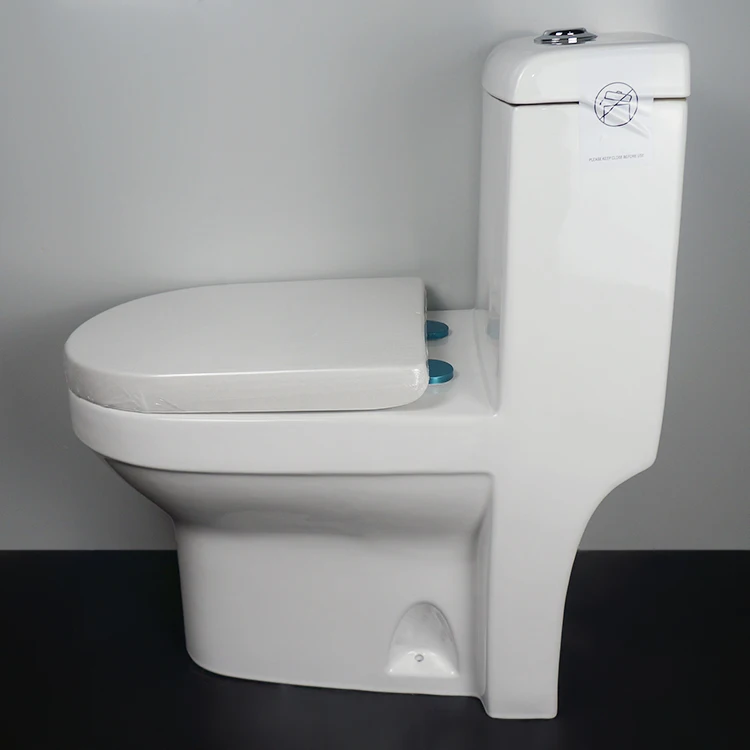 TARPUL Sanitary Ware Restroom Loo Water Closet WC Ceramic One Piece Floor Mounted Bathroom Wash Down Toilet supplier