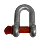 Forged D China Supplier High Tensile Forged Galvanized D Shape Shackle