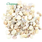 Shell Pearl Shell Natural Crushed Shell Chips Mother Of Pearl For Decoration
