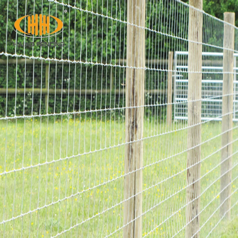 Galvanized Cheap Sheep Deer Wire Fence Rolls Field Mesh Fencing For Horses Buy Sheep Wire Fence Field Fencing For Horses Deer Fencing Mesh Rolls Product On Alibaba Com Galvanized Cheap Sheep Deer Wire Fence Rolls Field Mesh Fencing For Horses Buy Sheep Wire Fence Field Fencing For Horses Deer Fencing Mesh Rolls Product On Alibaba Com