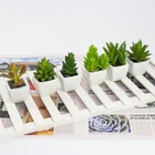 Bonsai Little Bonsai Popular Office Decorative Mini Artificial Plastic Succulent Bonsai Wholesale