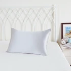 Pure Silk Pure Color High Quality Slip Silk Pillowcase 100% Mulberry Nature Silk Bed Pillowcase