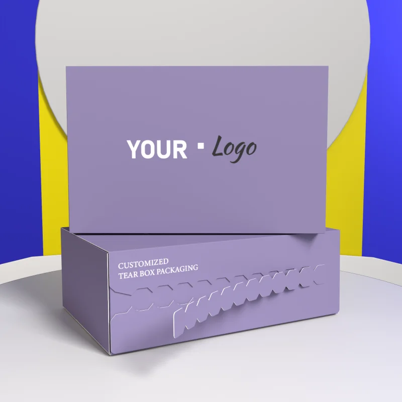 product eco friendly zipper mailing box customize lingerie packaging box with your own logo soy ink cardboard paper box for underwear-2