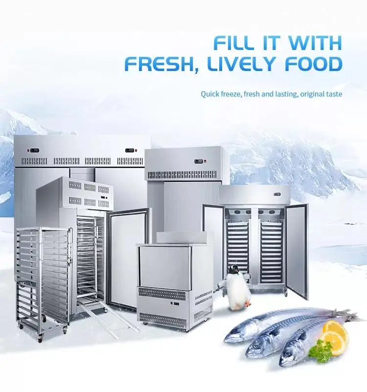 Blast Freezer, IQF, Stainless, Steel - detail 2