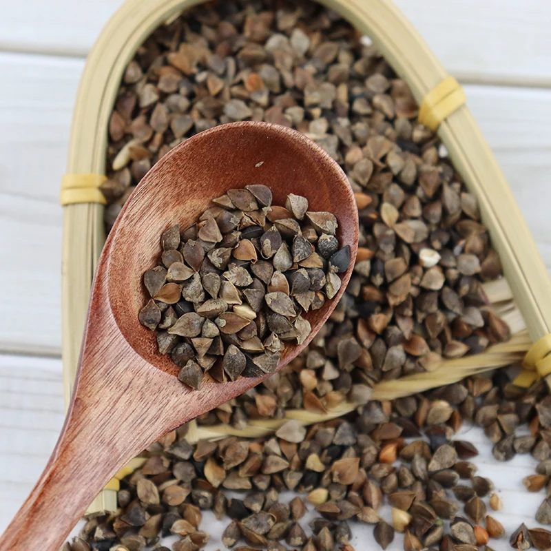 批发中国黑苦荞麦保健茶优质廉价凉茶黑苦荞麦