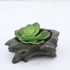 Hot Plants Hot Selling Cement Flowerpots Copy The Root Plants Pot Unique Designer Small For Indoor Decoration