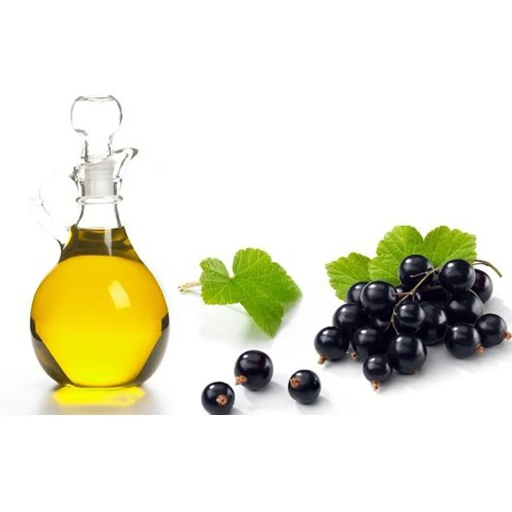 Wholesale 100% Pure And Natural Black Currant Seed Oil Food Grade Carrier  Oil For Skin Care,Hair,Lip And Nail Care Bulk - Buy Black Currant Essential  Oil Top Grade Oem Odm Factory Price,Where