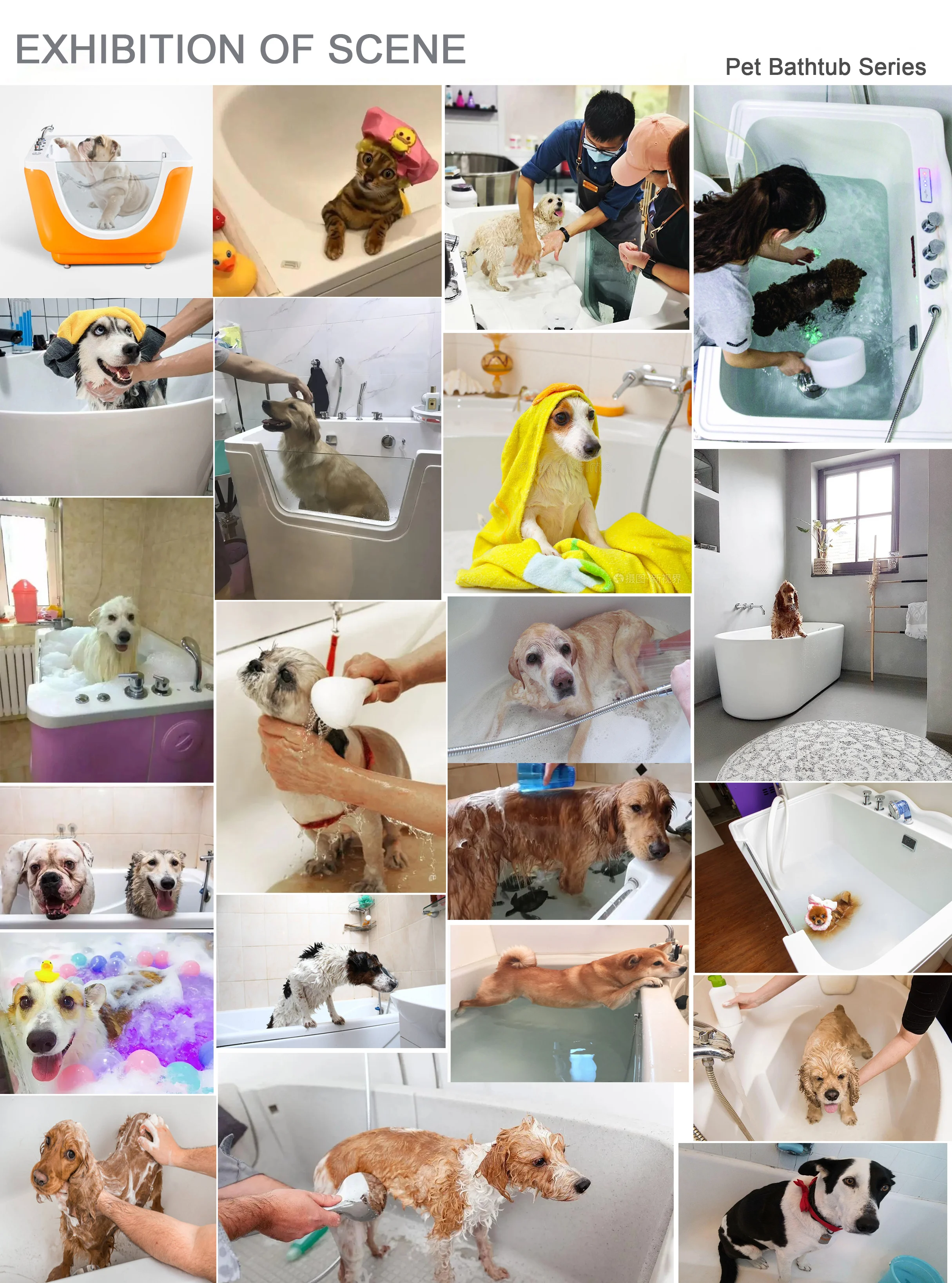 pet bathtub exhibition.jpg